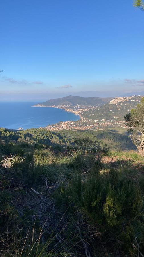 Casa Vacanze La Tuia كاستيلاباتي المظهر الخارجي الصورة